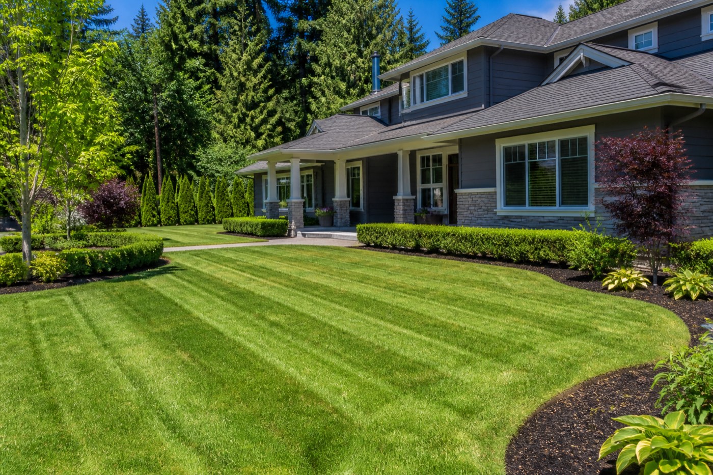 Shaped garden bed with fresh mulch and trimmed shrubs